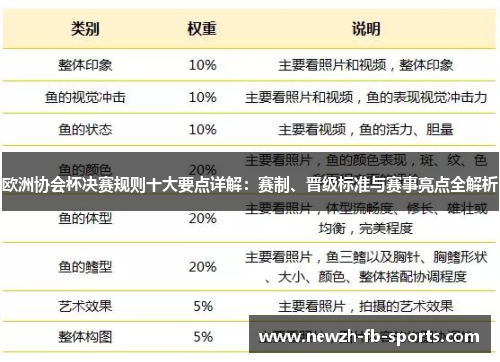 欧洲协会杯决赛规则十大要点详解：赛制、晋级标准与赛事亮点全解析