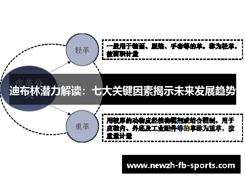 迪布林潜力解读:七大关键因素揭示未来发展趋势 迪布林潜力解读:七大关键因素揭示未来发展趋势