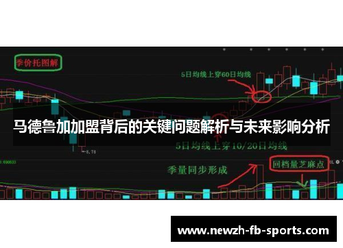 马德鲁加加盟背后的关键问题解析与未来影响分析