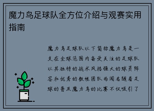 魔力鸟足球队全方位介绍与观赛实用指南