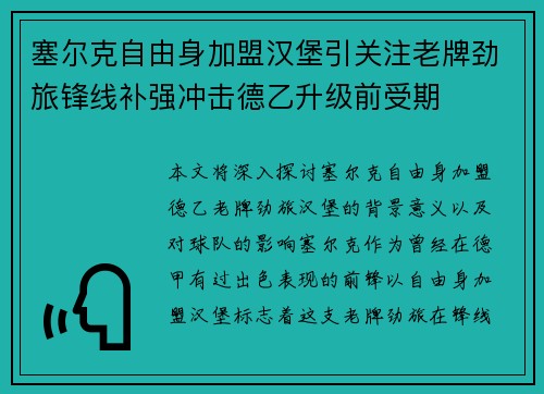 塞尔克自由身加盟汉堡引关注老牌劲旅锋线补强冲击德乙升级前受期 塞尔克自由身加盟汉堡引关注老牌劲旅锋线补强冲击德乙升级前受期
