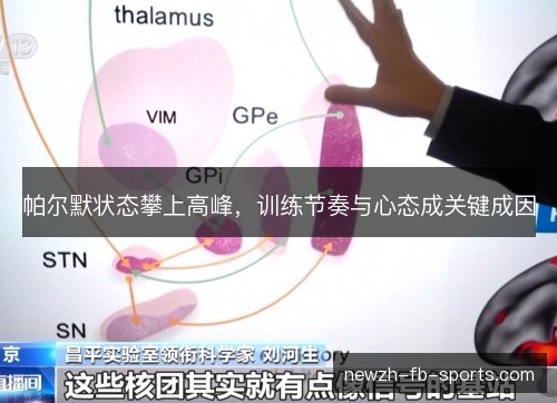 帕尔默状态攀上高峰，训练节奏与心态成关键成因